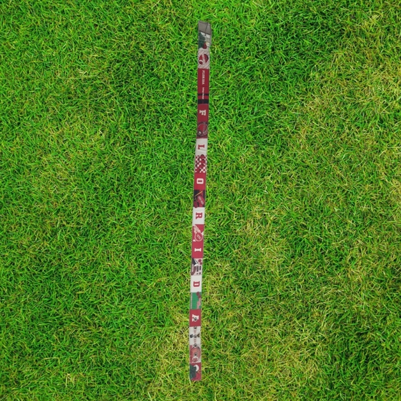 🏈 Florida State Belt (FSU): Football - Picture 8 of 9